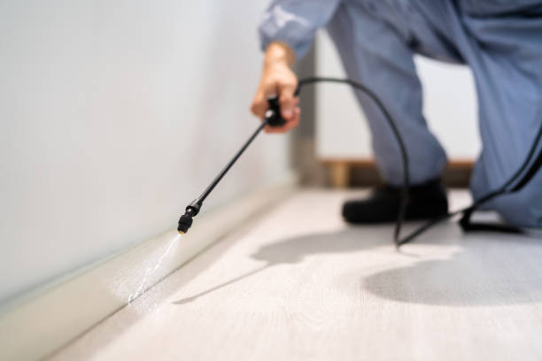 Licensed Cockroach Control service in Spotsylvania Courthouse, VA - Nex Pest Control
