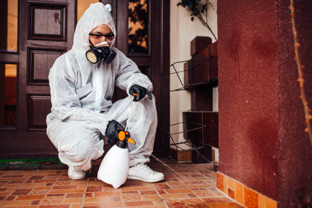 Reliable Cockroach Control contractor in Spotsylvania Courthouse, VA by Nex Pest Control