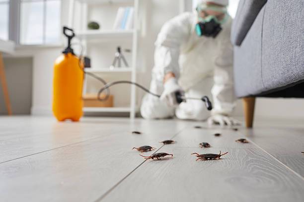 Affordable Cockroach Control solutions in Spotsylvania Courthouse, VA