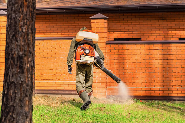 Top rated local Cockroach Control specialists in Spotsylvania Courthouse, VA